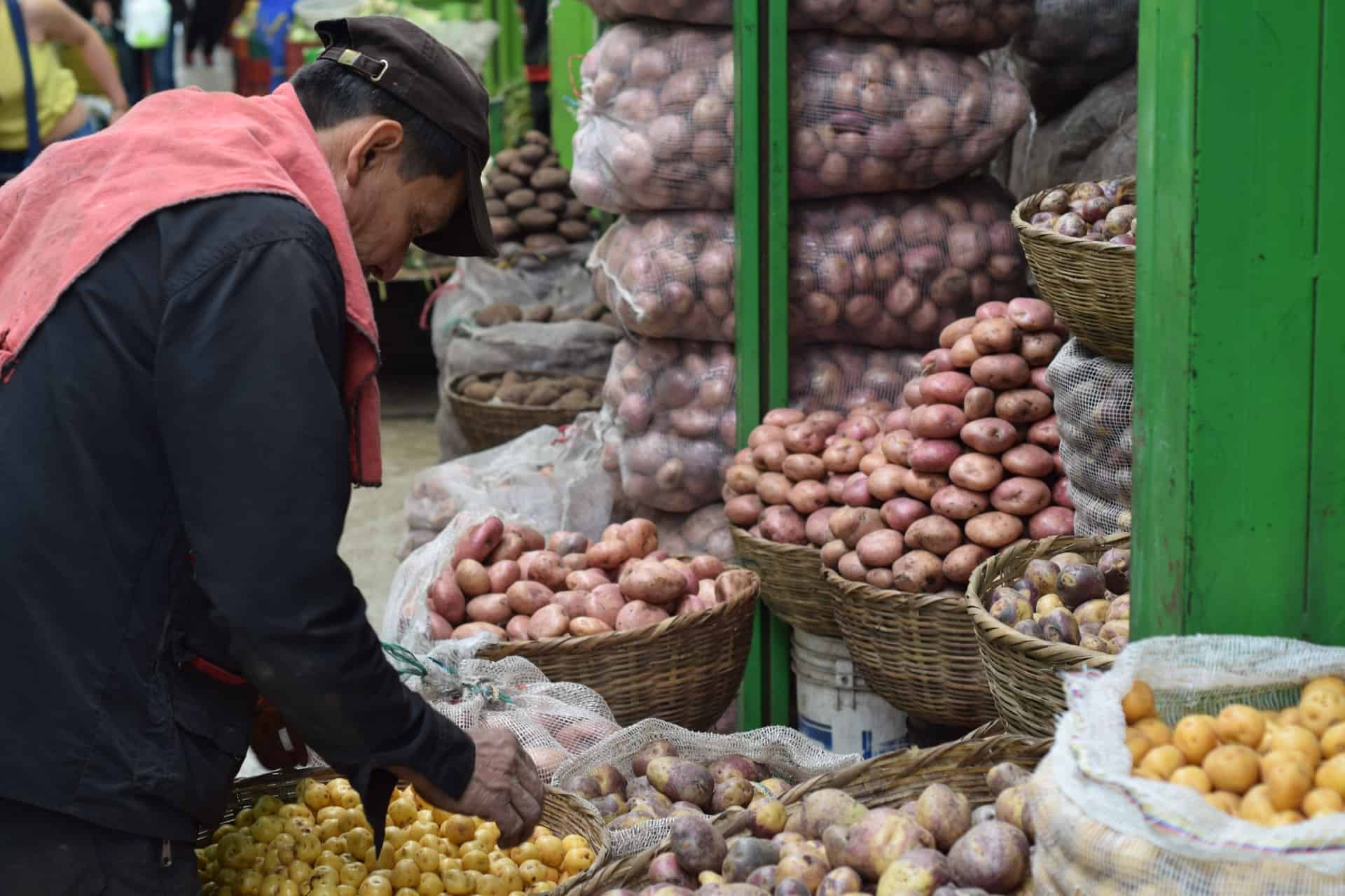 Solving The Need For Up to Date Food Consumption Data In Venezuela 