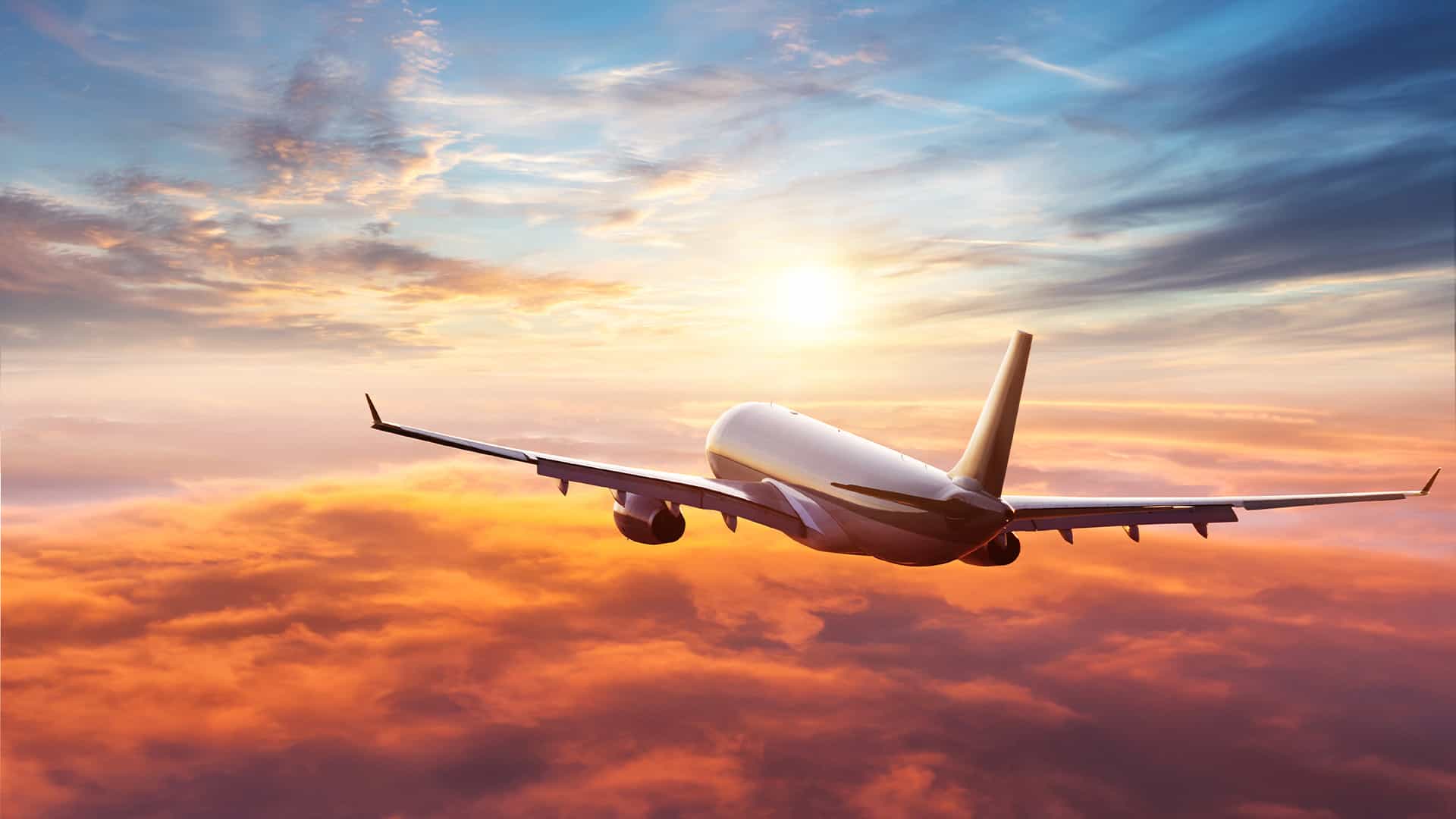 holiday travel survey1