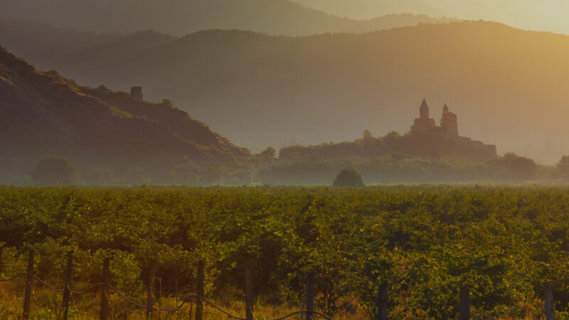 Consumer Insights Survey for Georgian Wine