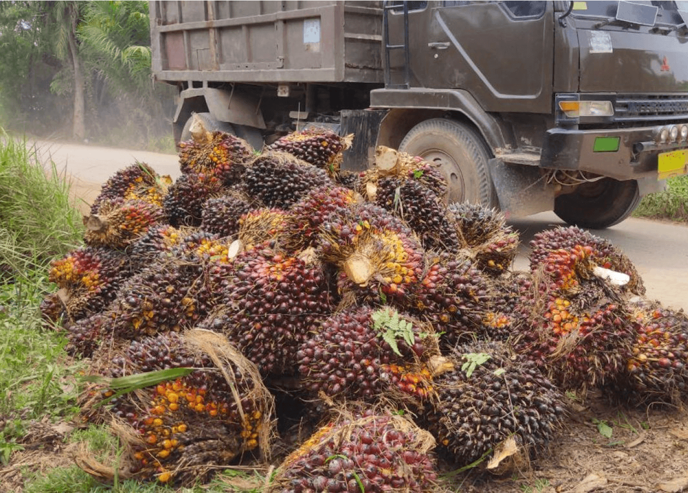 supply chain indonesia